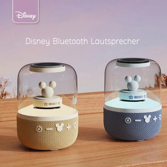 Mickey's Box