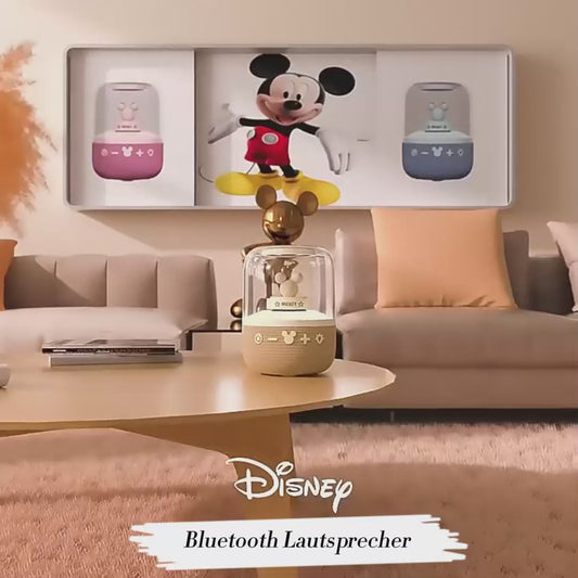 Mickey's Box